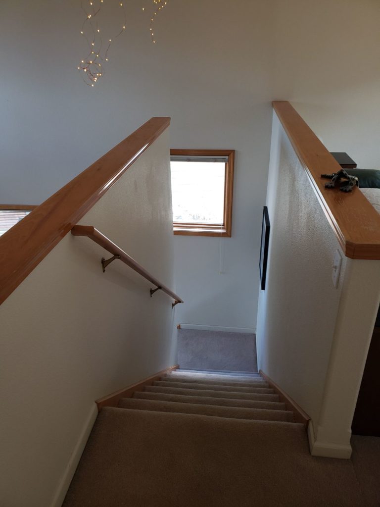 1415 pine cone 017