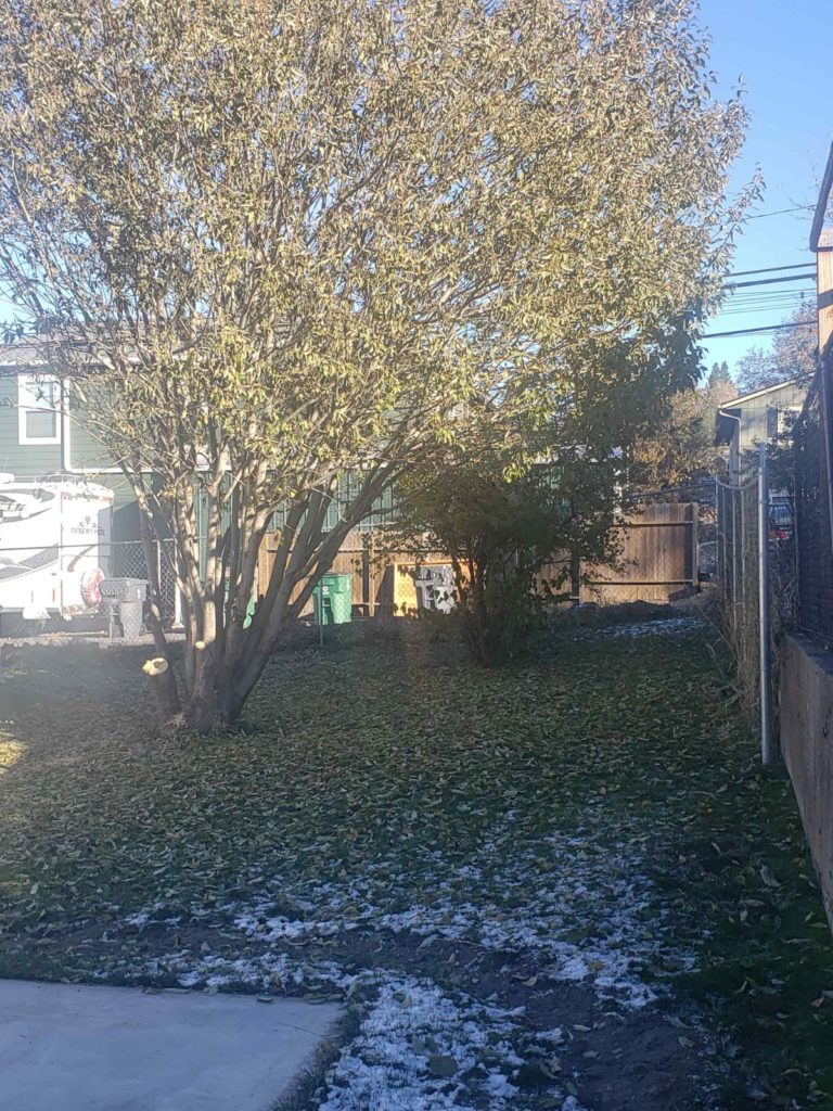 409 east e 019