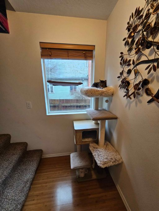 320 washington 077