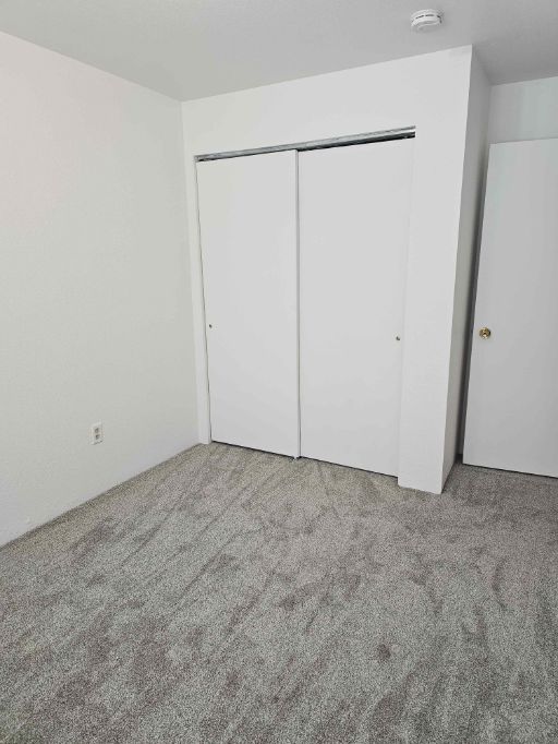 1615 levick #1 002
