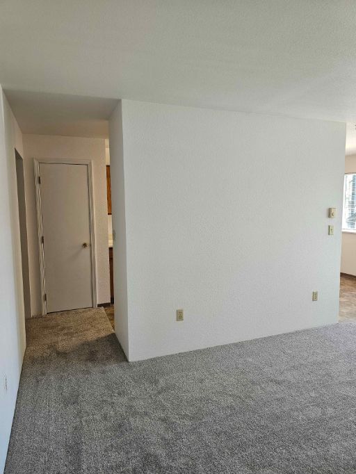 1615 levick #1 007
